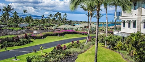 Enjoy your view from the lanai!