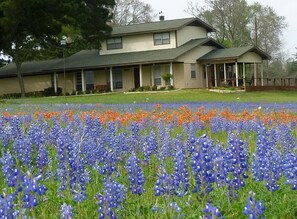 Bellheim in the spring