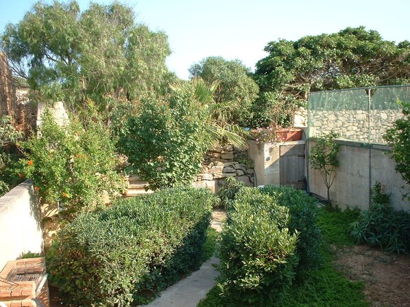 Trädgård