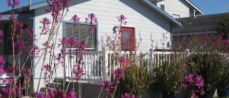 "THE ORCHID COTTAGE"