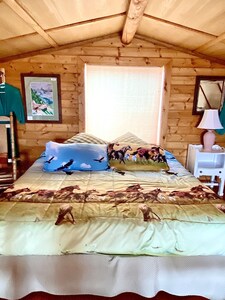 Wilderness Spirit Cabins, LLC-'Eagle Nest'- Heavenly Mountain Views