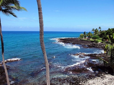 Direct Oceanfront Condo!  Sea Turtles & Beautiful Sunsets from the Lanai