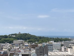 City view from property