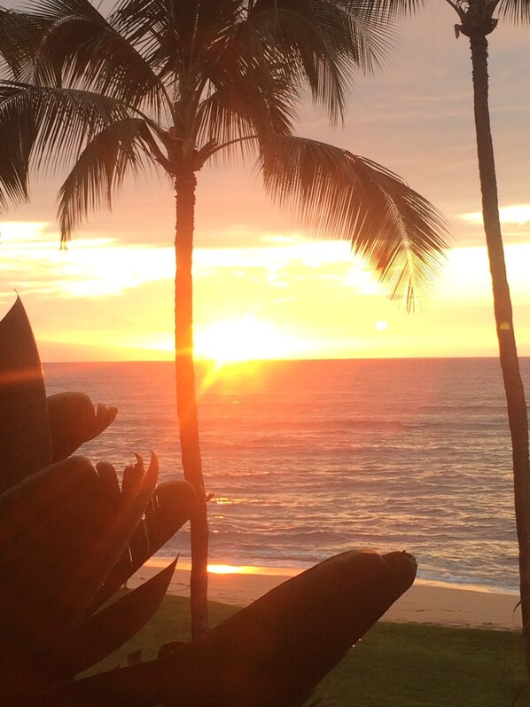 Spectacular sunsets - Maui Island Aloha!
