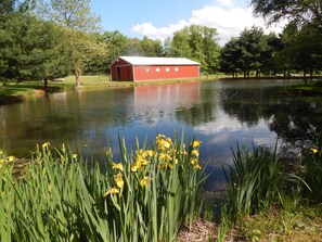 View of the largest barn across the pond.  Catch bass, Bluegill, Perch & Crappie