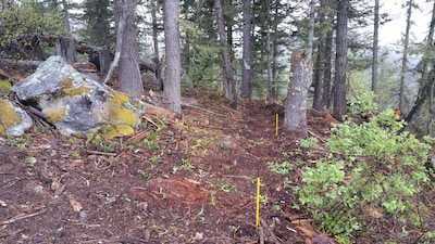 Silver Fox Yurt - Where the Mountains Meet the Moon