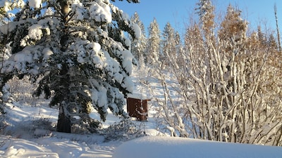 Silver Fox Yurt - Where the Mountains Meet the Moon