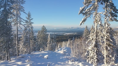 Silver Fox Yurt - Where the Mountains Meet the Moon