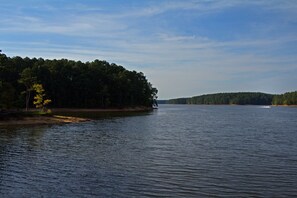 Lakefront View from back of property