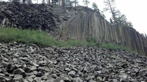 Oklassificerad bild, 5 av 47, knapp