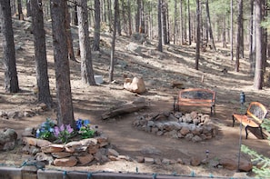 Campfire pit