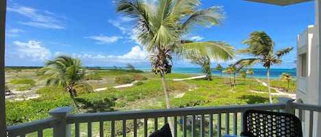 Balcony View. Palms on the Ocean