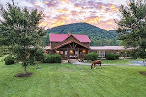 Front yard beauty