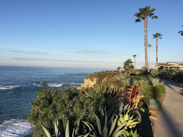 Ocean view from boardwalk