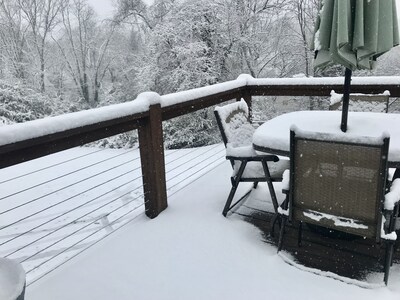 Cozy home w/Hot Tub in trendy West Asheville! 