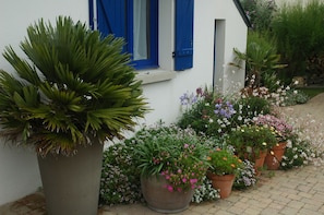 côté cour en fleur en en été