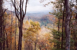 Your view in the fall from hot tub