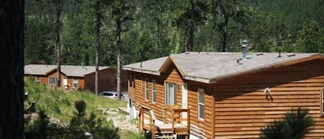 The Ponderosa with the Aspen nearby