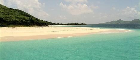 The turquoise waters of St Croix call to you to come experience.