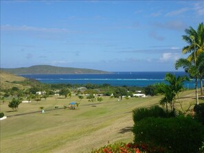 View from the patio overlooking the turquoise Caribbean and Buck Island!