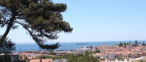 Vue sur la plage/l’océan