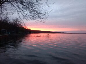 Serene Nights