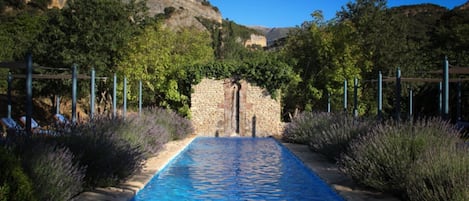 Our Roman-inspired pool with 12 sun loungers, surrounded by lavender.
