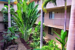 courtyard outside front door