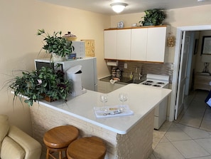 NEW KITCHEN...QUARTZ BAR COUNTER TOP, RETRO STAINLESS STEEL SINK TOP, APPLIANCES