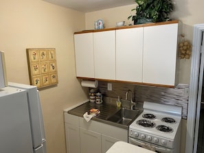 RETRO STAINLESS STEEL COUNTER TOP AND SINK; NEW APPLIANCES. 