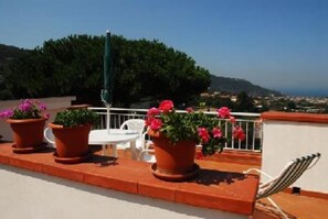 Terrasse / Balkon
