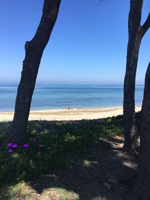 Spiaggia