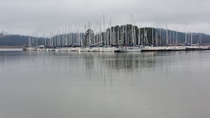 View from boathouse-Lake Guntersville Sailing Club