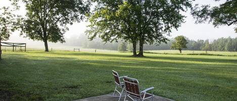 Peaceful summer morning 