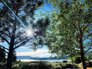 Summertime Lake Views