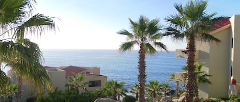 Terrace view of the Sea of Cortez