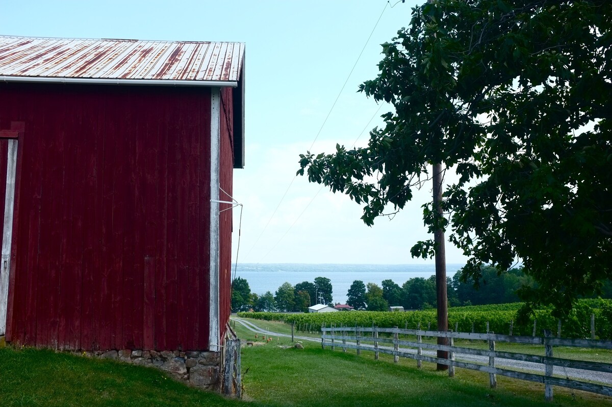 Quiet And Cozy Cabin With 165 Ft. Private Beach On Seneca Lake. LGBTQ+ friendly