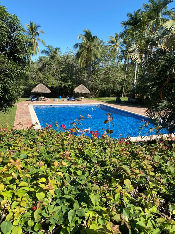 Large pool and shady palapas 