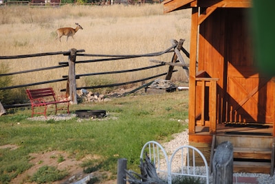 'Wolf Den'-A Perfect Romantic Honeymoon cabin and a Sportsman's Paradise Cabin