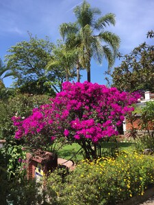 Villa Xochimilco-Mexican Colonial Home-Great Location, perfecto para familias-piscina