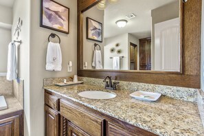 Master bath, extra large shower and jetted tub
