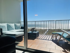 Relax & Recharge on the Patio - Directly on the Gulf!