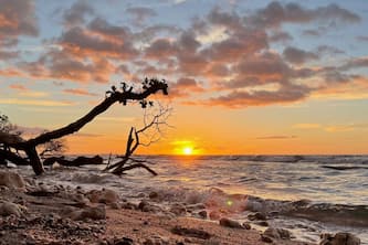 Puako Tropical Garden Retreat · Puako Tropical Garden Retreat - Across from Beach!