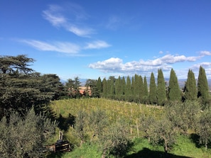Casale Sonnino, Monte Porzio Catone