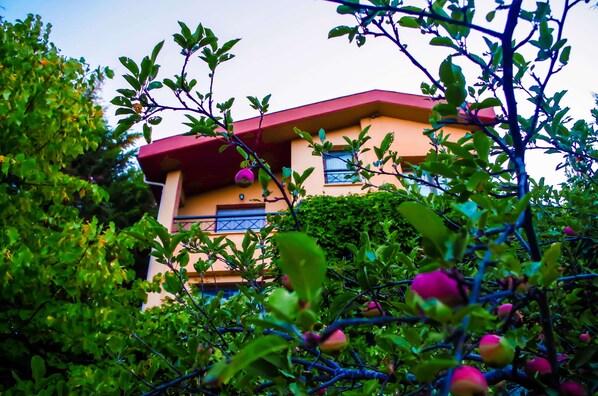 House view from lower level gardens