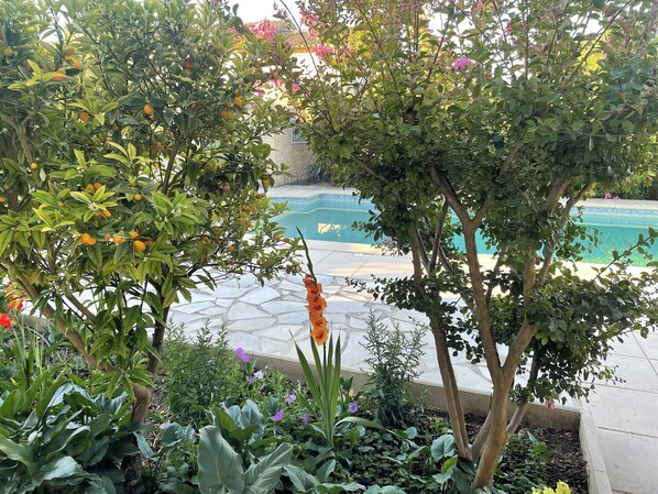 la piscine fleurie