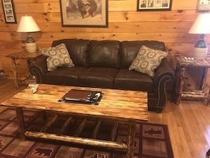 Living room w/ sofa bed