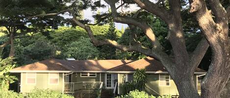 Napili House, front exterior