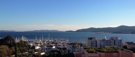 La vue de la terrasse