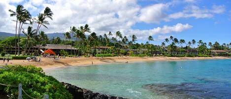 Gorgeous Napili Bay!